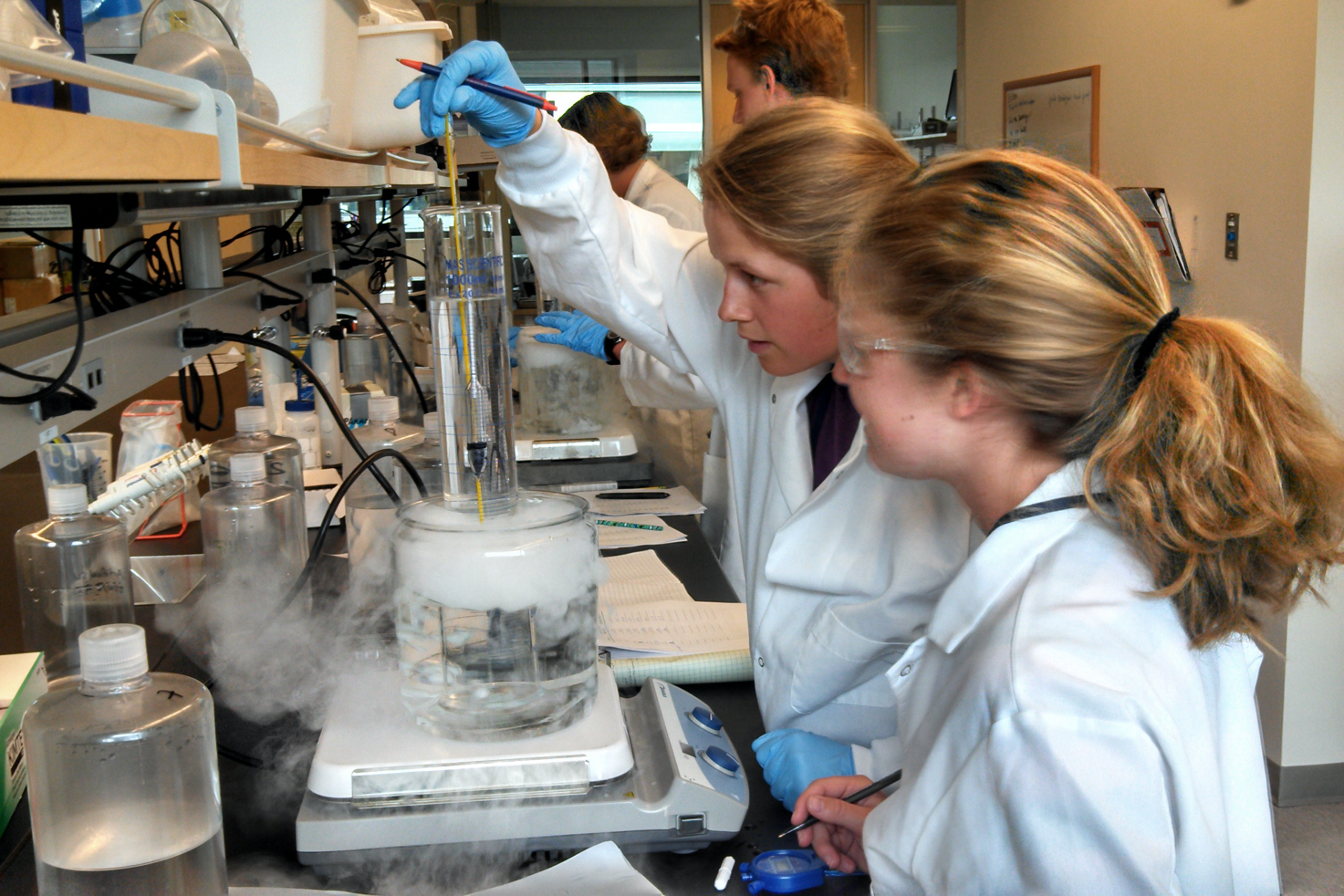Students in lab performing an experiment.