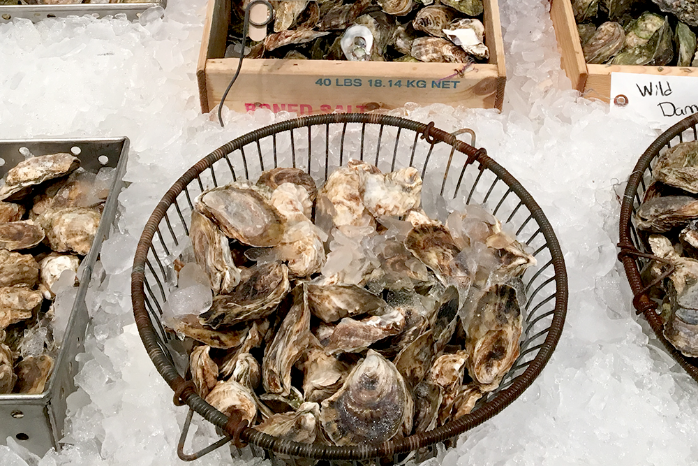 Oysters in basket on ice