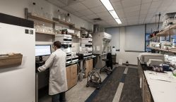 Scientist working in lab.